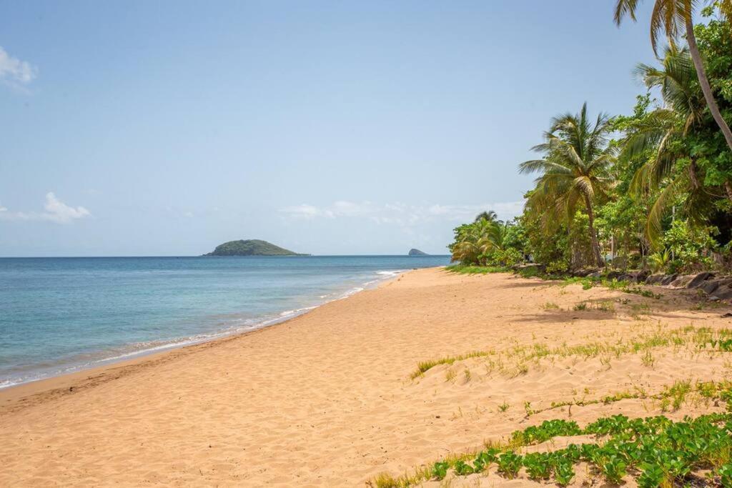 Vwe Moun Bay Apartamento Deshaies Exterior foto