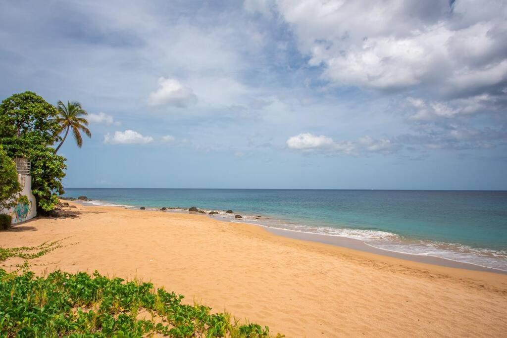 Vwe Moun Bay Apartamento Deshaies Exterior foto
